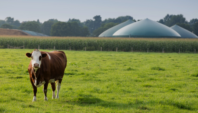 Curso De Biogás Y Biodigestores